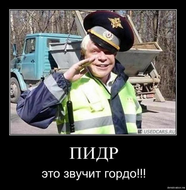 ПИДР полицейский